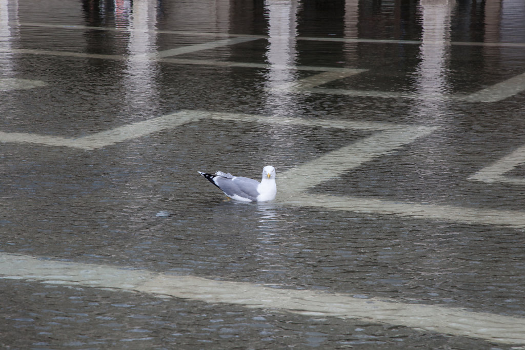 20141118-Venedig-San-Marco-Frueh-039.jpg